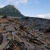 054_zimmer_060308 054_zimmer_060308