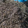 062_zimmer_060308 062_zimmer_060308