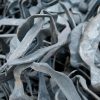 085_zimmer_060308 085_zimmer_060308