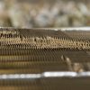 116_zimmer_060308 116_zimmer_060308