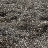 131_zimmer_060308 131_zimmer_060308
